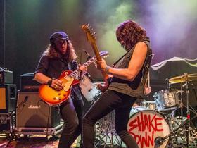 The Shakedown